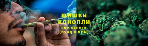 кокс Белокуриха